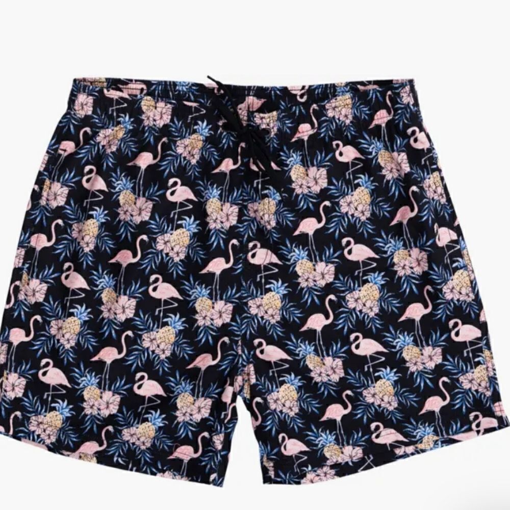 Burnside 17,swim trunks
